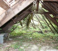 Charpente d'origine en ruine