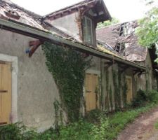 La long&egrave;re telle que nous l'avons d&eacute;couverte.
Vue de devant