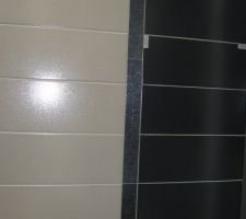 Carrelage mural de la salle de bains (le plus fonc&eacute; sera pos&eacute; dans la douche et autour du lavabo et de la  baignoire)
Nous n'avons pas pris la frise pr&eacute;sente sur la photo.