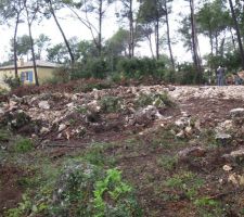 Terrassement du terrain &agrave; la fois plein d'arbres (coup&eacute;s sur la photo) et de rochers...