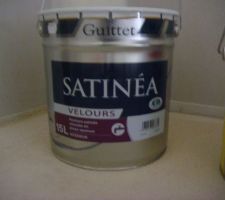 Peinture utilisée pour les murs