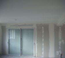 Peinture - Plafond de la salle à manger avec la toile de verre