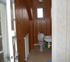 Toilette du bas avec lave mains