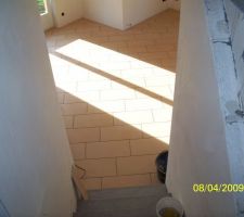 Pic&egrave;e du bas, photo prise de la salle de jeux