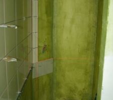 Carrelage de la douche