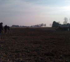 Implantation de la maison