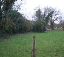 Le bout de notre terrain coté passage qui longe la maison