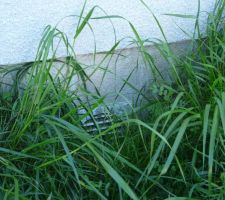Mon vide sanitaire prend l'air.....!!!!!!!!!