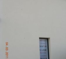 Vive les oiseaux bis