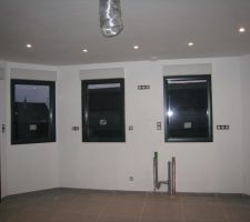 Elle arrive le 18/03 et est installée le 21: c'est pour cela que je voulais avoir fini le cellier (séparé de la cuisine par une porte coulissante)
mais enfin de compte , je voulais surtout m'excercer avec le rouleau pour les travaux de peintures (pas évident !! et si le peintre voit mon travail: la note ne sera pas trés élevée !! (à chacun son métier..)mais j'ai eu le plaisir de le faire moi-même