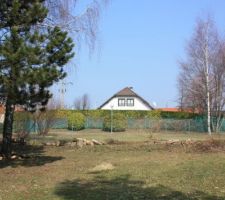 Terrain déboisement