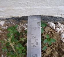 Mesure de l'épaisseur de l'enduit en bas de mur.