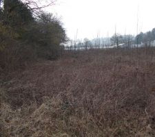 Partie gauche, 1ère partie du lotissement