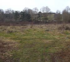 Vu sur le futur terrain de pétanqua !!!