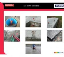 Points particuliers traitement termites