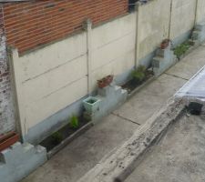 La cour