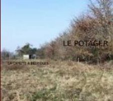 L'abri actuel et le futur potager