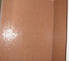 Mosa&icirc;que de la douche