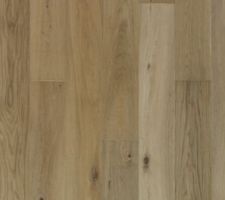 Parquet Salon-Séjour