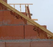 Une horreur dans notre lotissement (ce n'est pas nous). Le constructeur se reconnaitra...