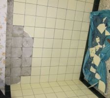 D&eacute;molition fa&iuml;ence (il y en a pa partout dans la maison...) on s'est achet&eacute; un petit burineur pour finir car c'&eacute;tait hyper long.