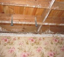 Aller mise en place des suspentes ^^