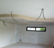 Faux plafond du salon