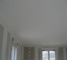 Plafond ratissé