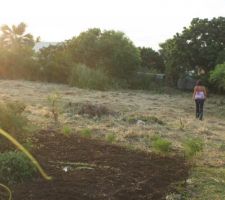 Terrain après petit entretient