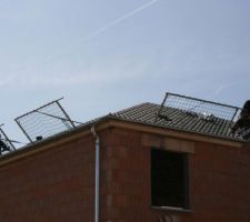 J52 - Pose des tuiles