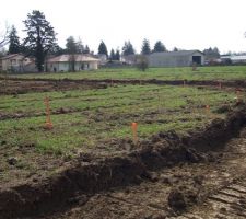 Viabilisation lotissement 4&egrave;me semaine.