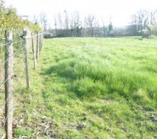 Le terrain est cl&ocirc;tur&eacute; &agrave; moiti&eacute;, il reste les cl&ocirc;ture &eacute;lectrique &agrave; &ocirc;ter, car c'&eacute;tait un pr&eacute;  pour des chevaux