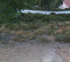 Autre photo du terrain