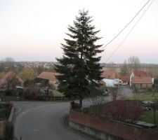 La vue depuis notre future entrée (faudra vraiment faire couper le sapin du voisin !!!)