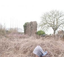 Terrain. Il y a du boulot