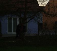 Vendredi soir, on coupe les arbres dans le jardin