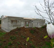 Le magnolia et le cerisier sont en fleurs