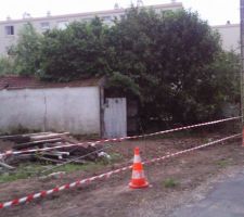 Notre terrain avec encore une cabane dessus et les arbres