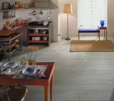 Le futur carrelage de la SdB du RDC.
Ideyama, "The Wood Collection" de chez Cerim