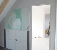 Fa&iuml;ence sdb c&ocirc;t&eacute; vasques