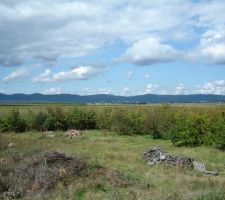 Le terrain