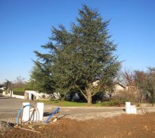 Entr&eacute;e du terrain