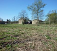 Les limites du terrain sont en partant tout droit vers le coin haut droit de la photo vers le gros arbre, ensuite direction la grange au centre de la photo et retour jusqu'&agrave; l'arbre en fleur &agrave; gauche de la photo et retour jusqu'&agrave; moi .