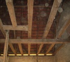 Et a termin&eacute; avec papa samedi! Ca, c'est fait :)