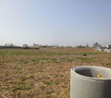 L'arri&egrave;re de notre terrain et ceux de nos futurs voisins