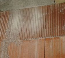 Des traces de moisies sont apparues sur tout un mur du garage côté extérieur