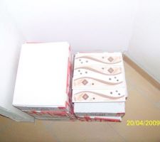 Listels et carrelage mural pour les toilettes du bas.