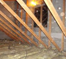 On voit le mur de refend avec l'arase qui correspond au plafond de la partie Nuit au dessus du sous sol. C'est par la que l'escalier arriverait. bien sur il faut descendre le niveau de l'ouverture voir rehausser le linteau pour une porte standard. L'ouverture fait 100*100 et il y a 90 au dessus et dessous hors tout de la demi fermette.