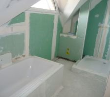 Pose du sanitaire en cours