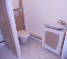 Petit meuble suspendu pour le lave main